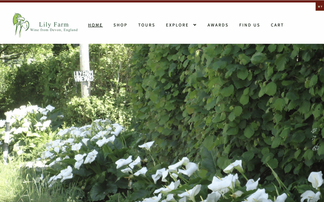 Lily Farm Vineyard