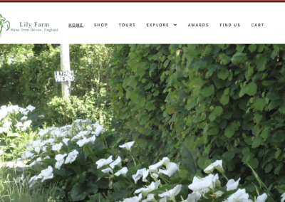 Lily Farm Vineyard